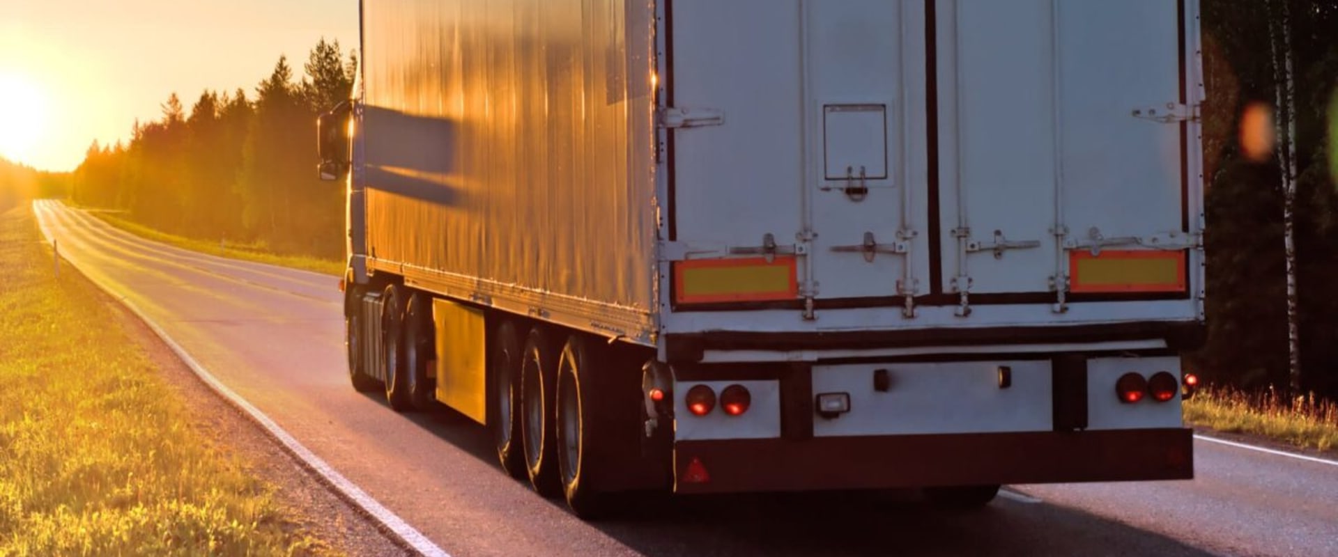 Guide to Finding the Best Florida Moving Companies Near You
