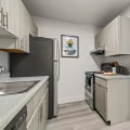 Finding the Perfect Apartment for Rent