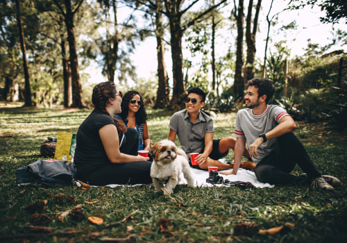 Making New Friends and Settling In